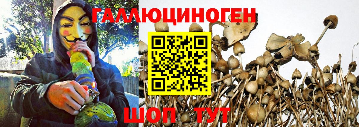 Псилоцибиновые грибы MAGIC MUSHROOMS Нижний Тагил