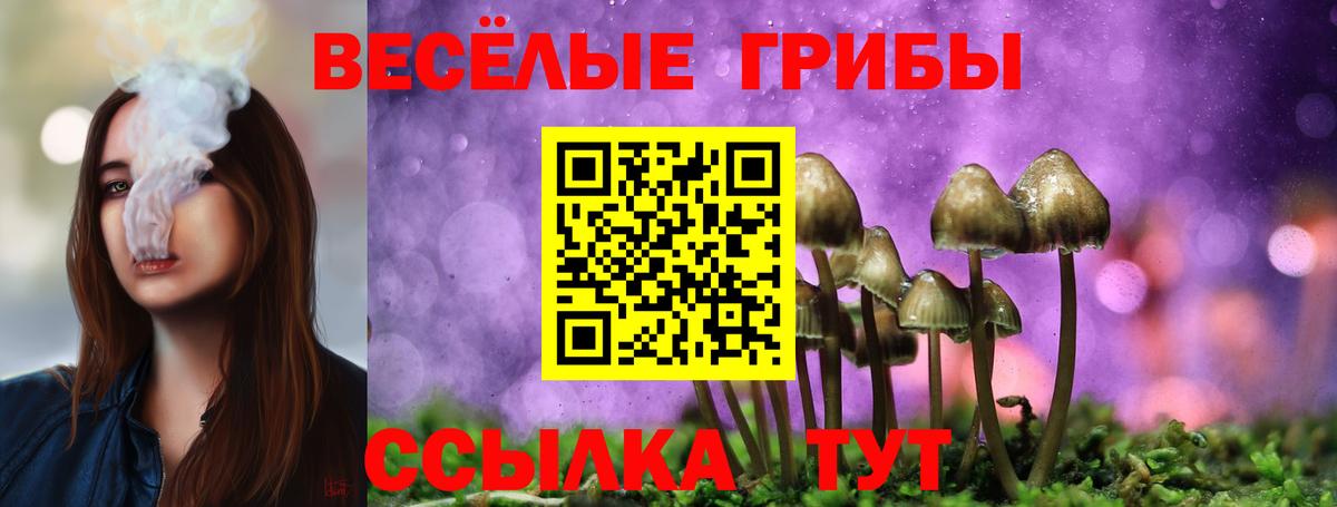 Нижний Тагил  Псилоцибиновые грибы Psilocybine cubensis  Вход с VPN  Псилоцибиновые грибы Cubensis 